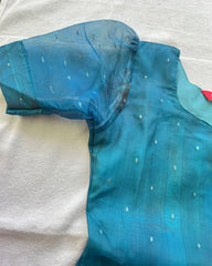 Peacock organza kurta set
